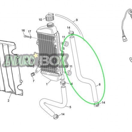 Durite de Refroidissement Supérieure SHERCO 50cc 03-Auj Enduro Box